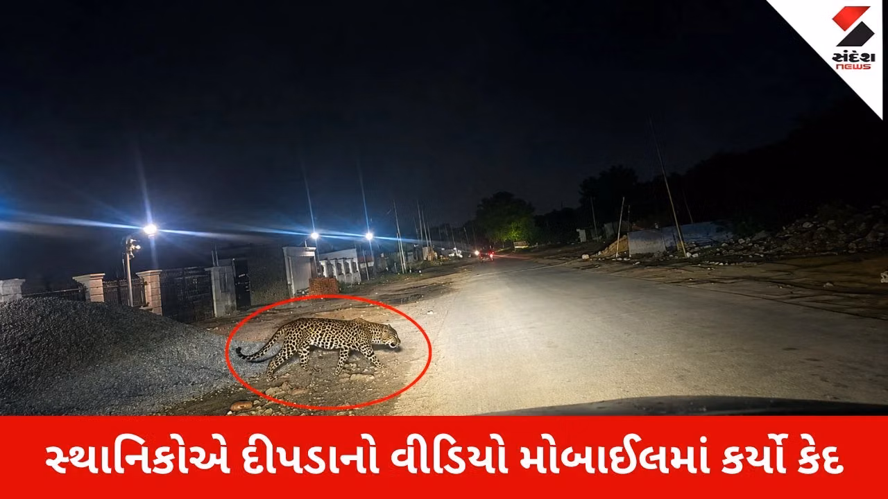 Ahmedabad : હવે ઝુંડાલ-ચાંદખેડા રિંગરોડ પર દીપડો દેખાયાનો દાવો, રાત્રિ દરમ્યાન રોડ ક્રોસ કરતો નજરે પડ્યો દીપડો