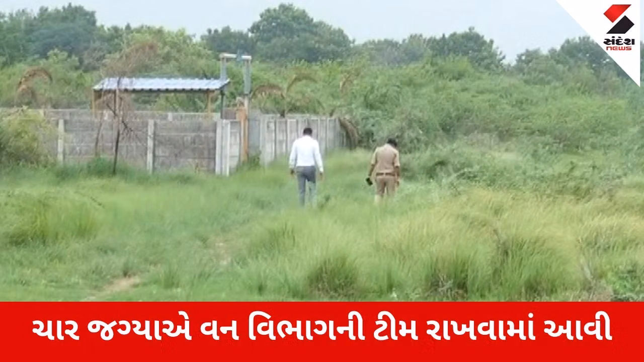 Ahmedabad : દીપડાના સર્ચ ઓપરેશનનો ધમધમાટ, ઝુંડાલમાં પણ આ જ દીપડો હોવાની શક્યતા નહિવત હોવાનું RFO નું નિવેદન