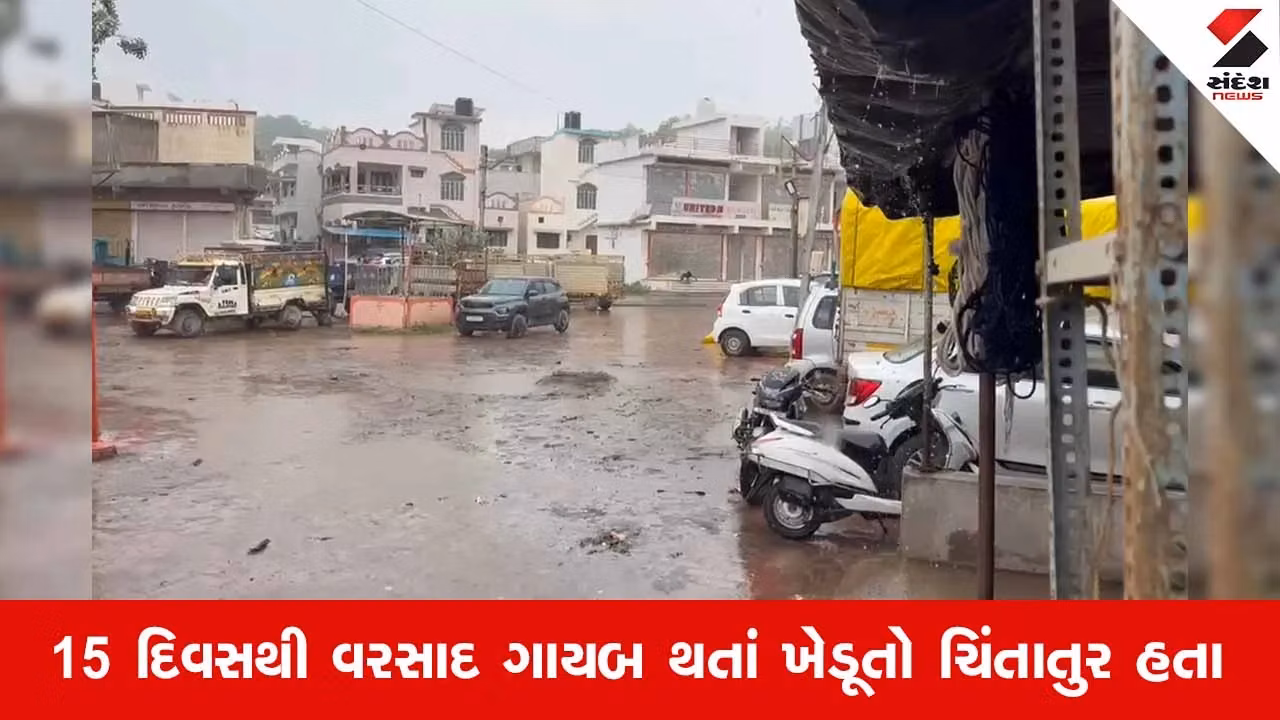 Sabarkanthaના વિજયનગરમાં 15 દિવસના વિરામ બાદ ધીમીધારે વરસાદ, મુરઝાતા પાકને મળ્યું જીવનદાન